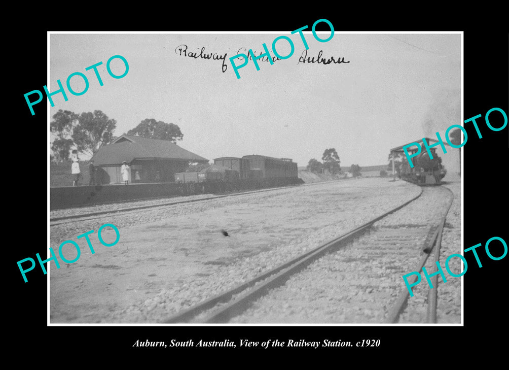 OLD LARGE HISTORIC PHOTO AUBURN SOUTH AUSTRALIA, THE RAILWAY STATION c1920