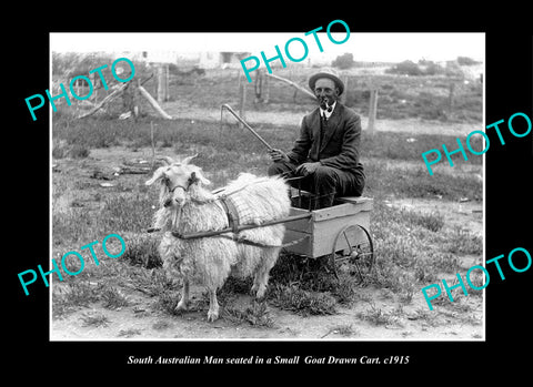 OLD LARGE HISTORIC PHOTO OF AUSTRALIA, MAN ON HIS GOAT DRAWN CART c1915