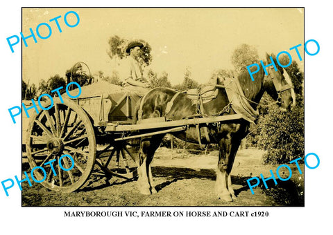 LARGE PHOTO OF OLD MARYBOROUGH, 1920s HORSE & CART, VIC