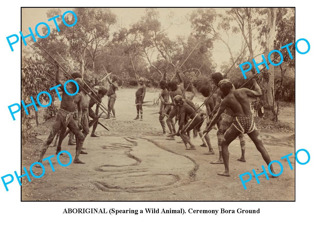 OLD AUST ABORIGINAL LARGE PHOTO OF BORA CEREMONY, SPEAR