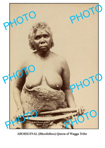 OLD ABORIGINAL LARGE PHOTO, QUEEN OF WAGGA TRIBE c1900