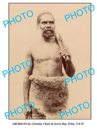 OLD ABORIGINAL LARGE PHOTO, CHIEF OF JERVIS TRIBE c1900