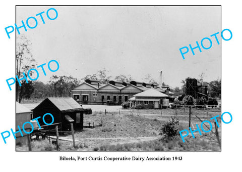 OLD LARGE PHOTO QLD, BILOELA PORT CURTIS DAIRY BUTTER FACTORY c1943