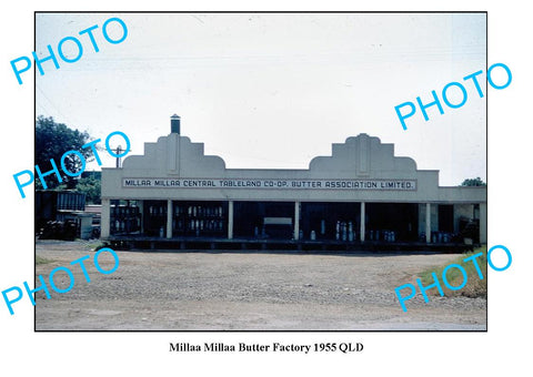 OLD LARGE PHOTO QLD, MILLAA MILLAA DAIRY BUTTER FACTORY c1955