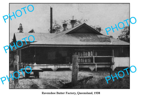 OLD LARGE PHOTO QLD, RAVENSHOE DAIRY BUTTER FACTORY c1938