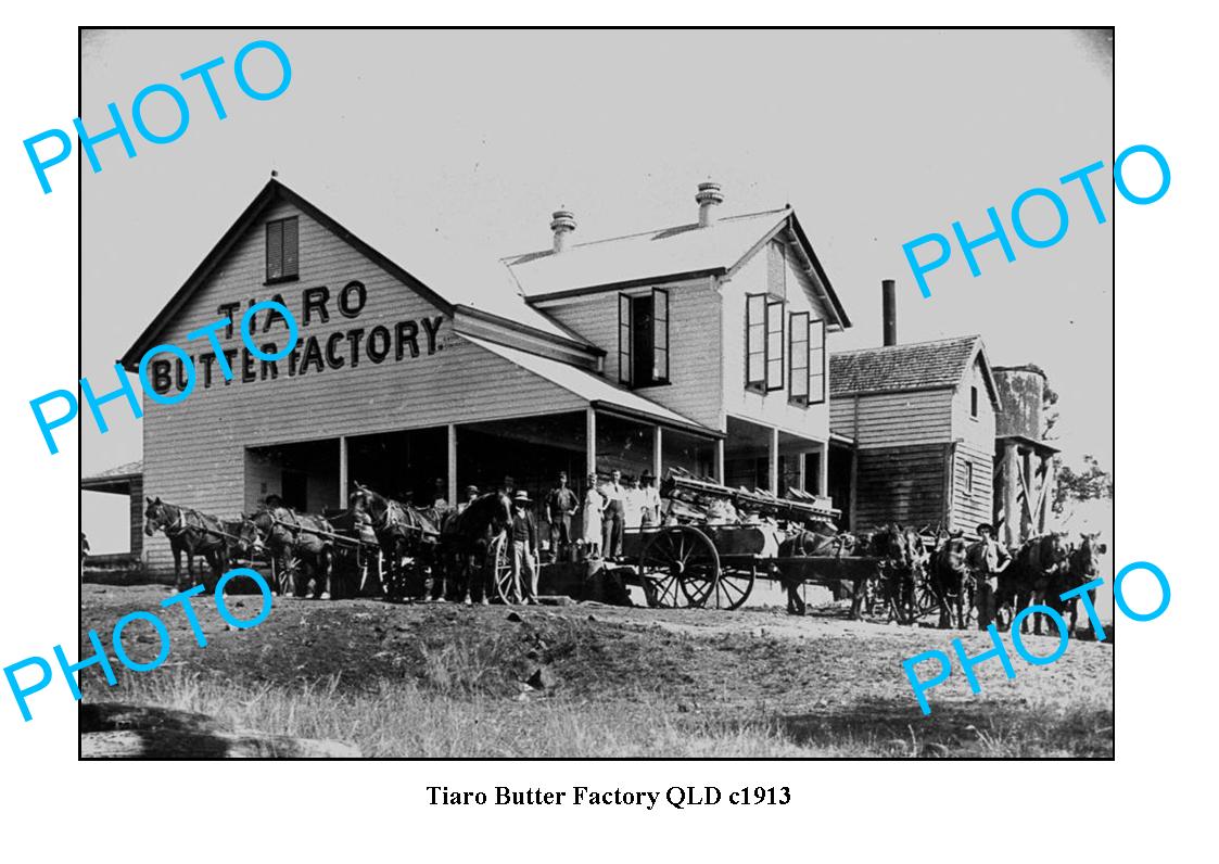 OLD LARGE PHOTO QLD, TIARO DAIRY BUTTER FACTORY c1913