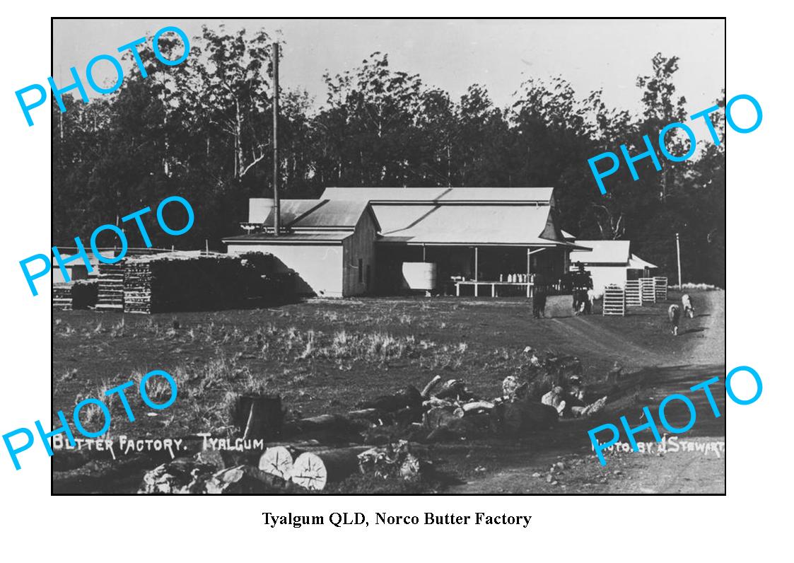 OLD LARGE PHOTO QLD, TYALGUM NORCO DAIRY BUTTER FACTORY c1920