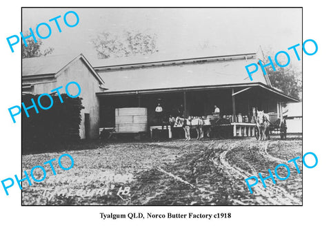 OLD LARGE PHOTO QLD, TYALGUM NORCO DAIRY BUTTER FACTORY c1918