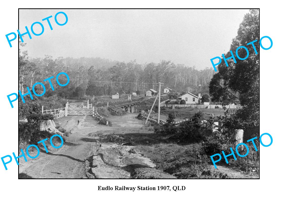 OLD LARGE PHOTO QLD, EUDLO RAILWAY STATION c1907