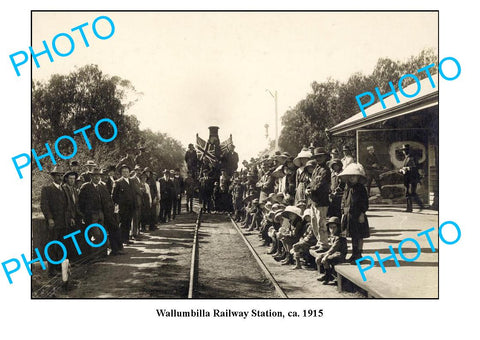 OLD LARGE PHOTO WALLUMBILLA RAILWAY STATION c1915 QLD