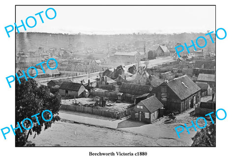 OLD LARGE PHOTO OF BEECHWORTH VICTORIA, TOWN SCENE c1880