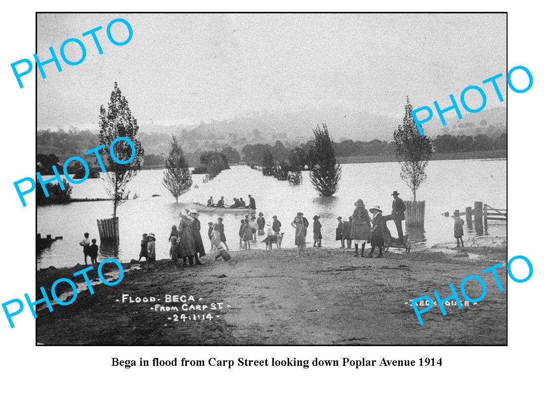 OLD LARGE PHOTO OF BEGA NSW, 1914 FLOOD FROM POPLAR AVENUE