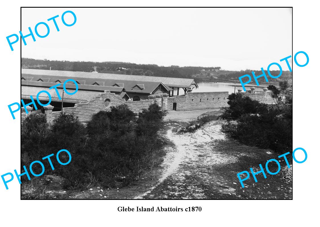 OLD LARGE PHOTO OF SYDNEY NSW, GLEBE ISLAND ABATTOIR c1870