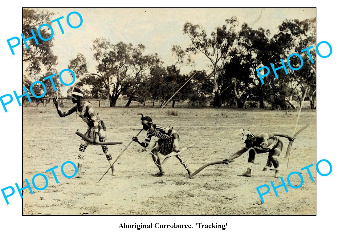 OLD LARGE PHOTO, ABORIGINAL CORROBOREE DANCE, TRACKING c1900