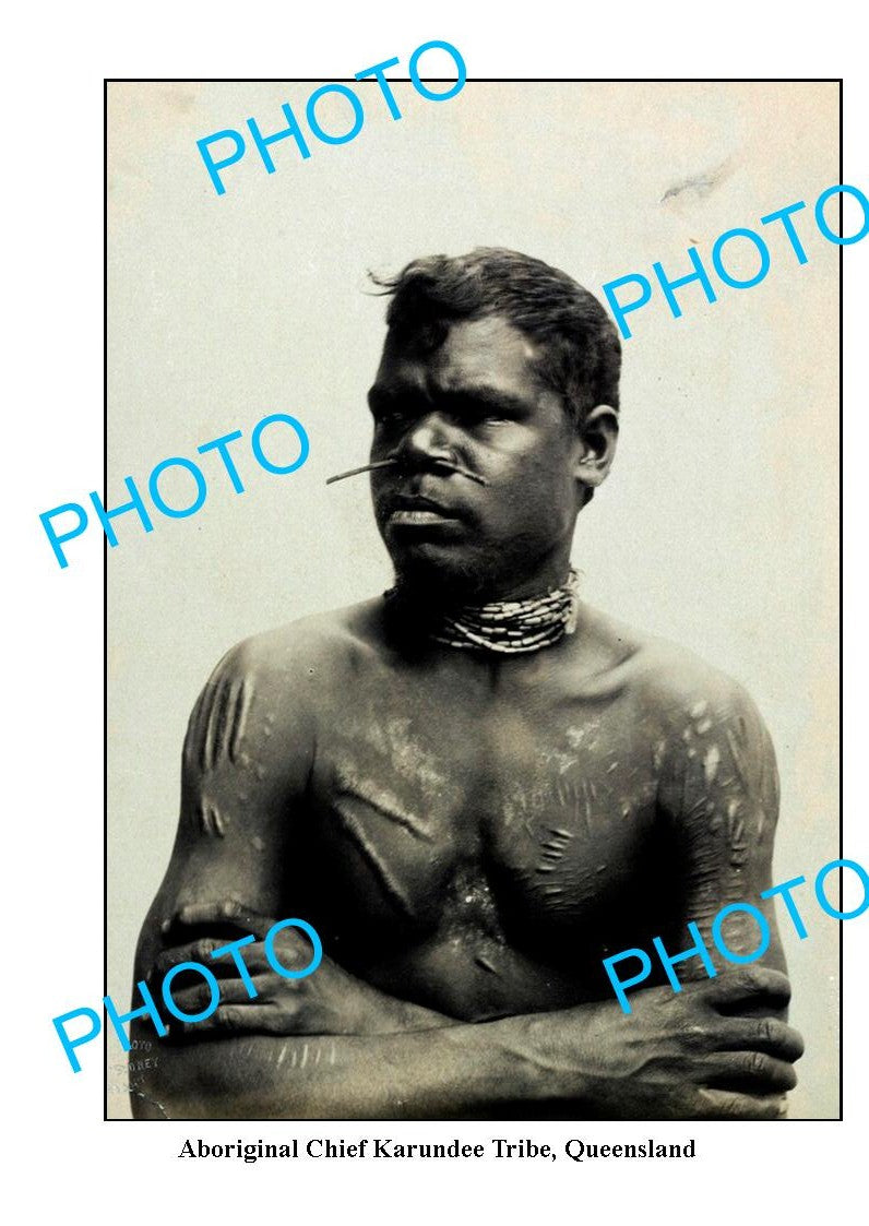 OLD LARGE PHOTO, ABORIGINAL CHIEF KARUNDEE TRIBE, QUEENSLAND c1900