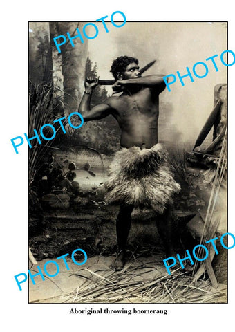 OLD LARGE PHOTO, ABORIGINAL NATIVE THROWING BOOMERANG c1900