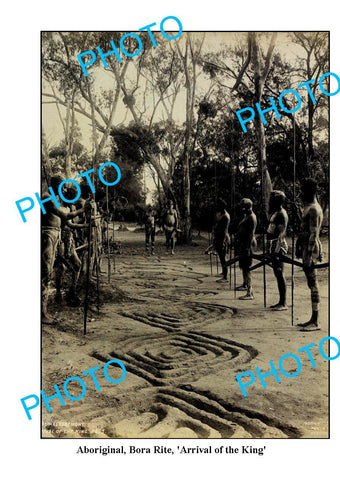 OLD LARGE PHOTO, ABORIGINAL BORA RITE CEREMONY, ARRIVAL OF THE KING, c1900