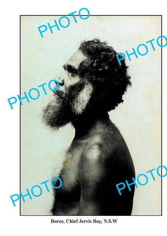 OLD LARGE PHOTO, ABORIGINAL 'BOREE' CHIEF OF THE JERVIS BAY TRIBE c1900