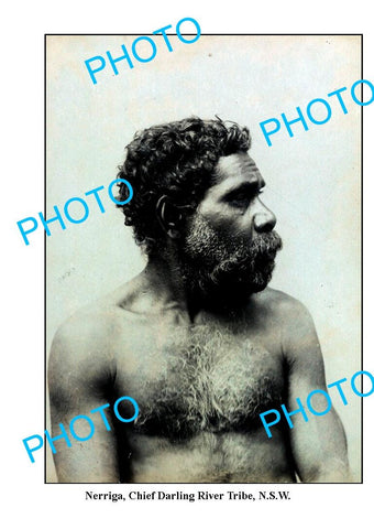 OLD LARGE PHOTO, ABORIGINAL 'NIRREGA' CHIEF OF THEDARLING RIVER TRIBE. NSW c1900