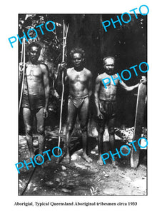 OLD LARGE PHOTO, QUEENSLAND ABORIGINAL TRIBESMEN WITH SPEARS 1933