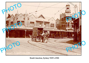 OLD LARGE PHOTO, BONDI JUNCTION SYDNEY NSW c1900