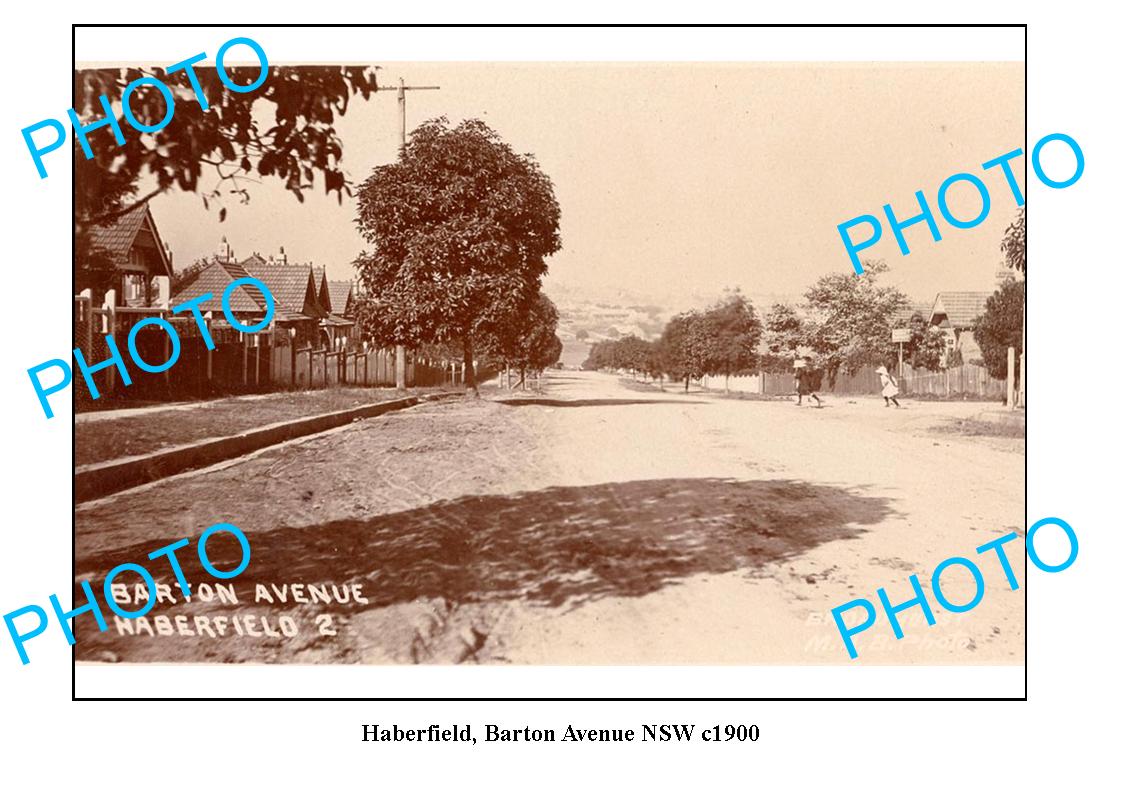 OLD LARGE PHOTO, HABERFIELD NSW SOUTH WALES, BARTON AVENUE c1900