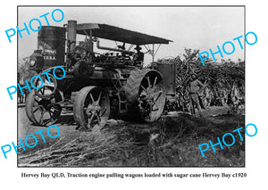 OLD LARGE PHOTO, HERVEY BAY QUEENSLAND, SUGAR CANE WAGON c1920