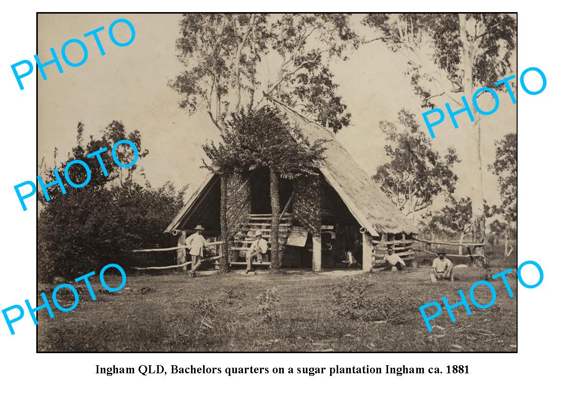 OLD LARGE PHOTO, INGHAM QUEENSLAND, SUGAR PLANTATION HUT c1881