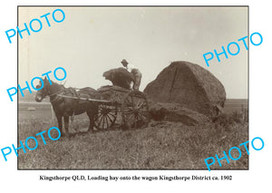 OLD LARGE PHOTO, KINGSTHORPE QUEENSLAND, LOADING HAY ONTO WAGON c1902