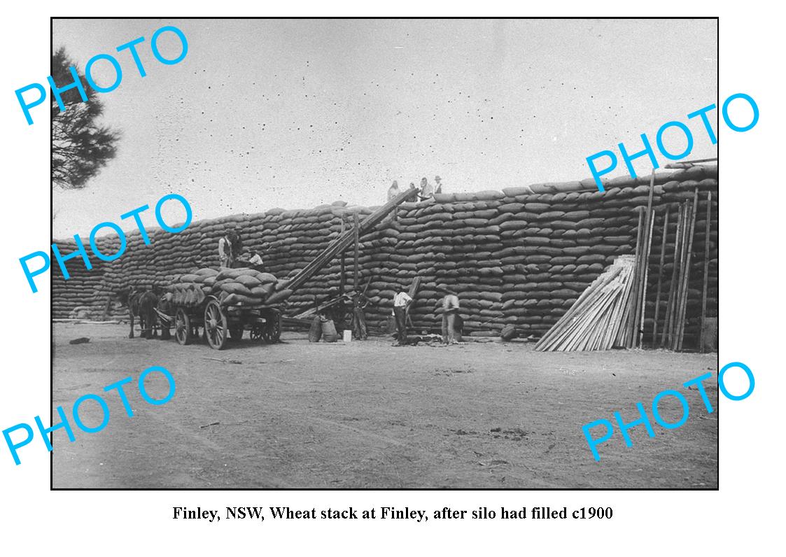 OLD LARGE PHOTO, FINLEY NSW, LOADING WHEAT STACKS c1900