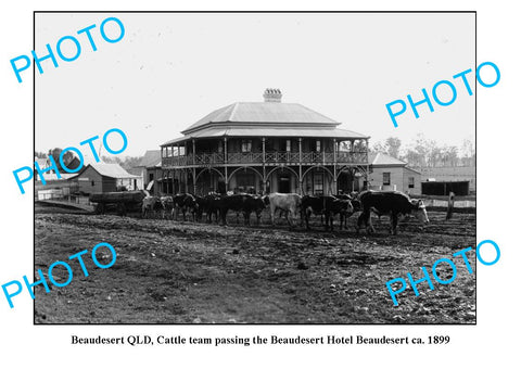 OLD LARGE PHOTO, BEAUDESERT QUEENSLAND, BULLOCK TEAM & HOTEL c1899