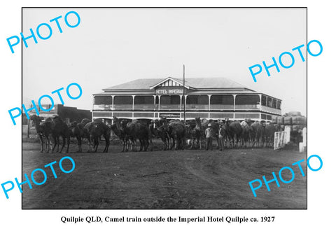 OLD LARGE PHOTO, QUILPIE QUEENSLAND, IMPERIAL HOTEL & CAMEL TRAIN c1927