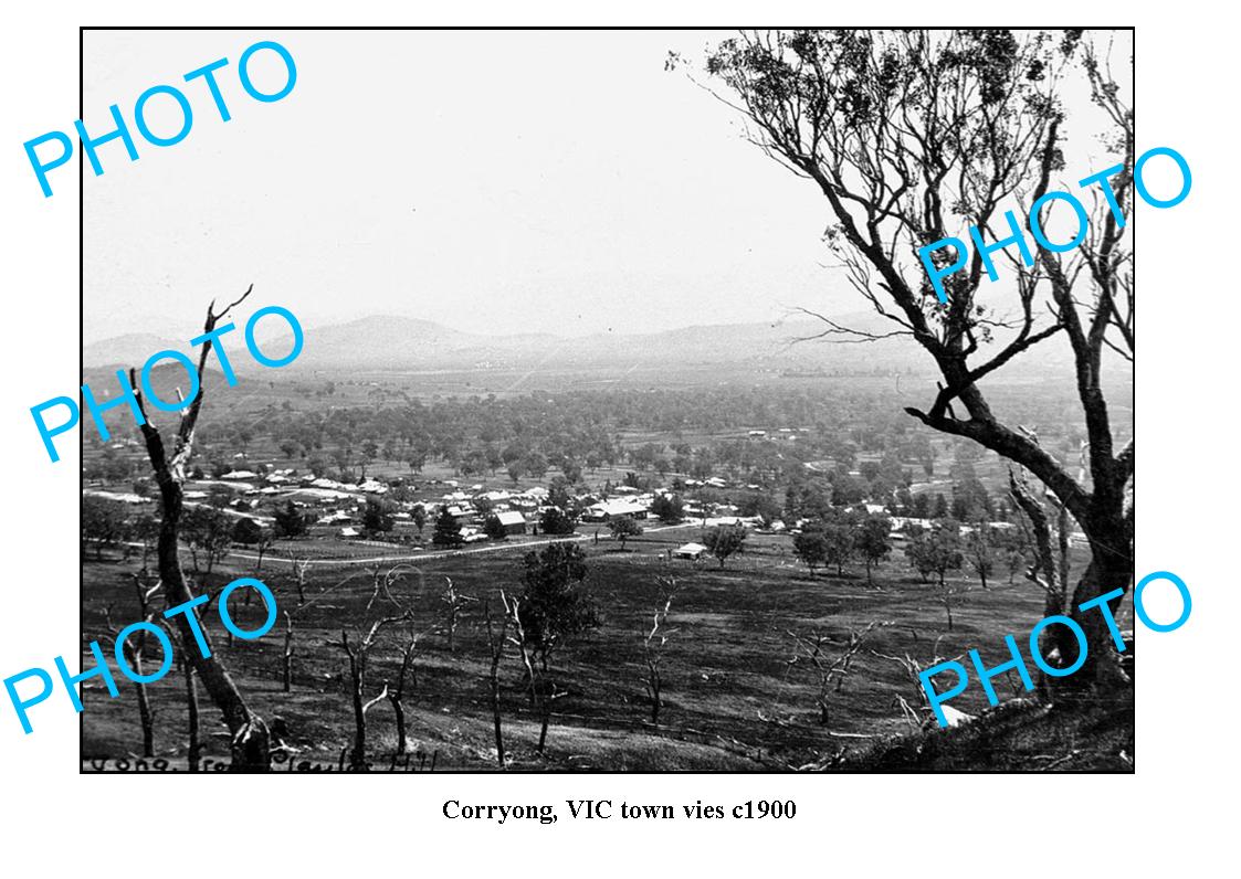 OLD LARGE PHOTO, CORRYONG VICTORIA, PANORAMA OF TOWN c1900