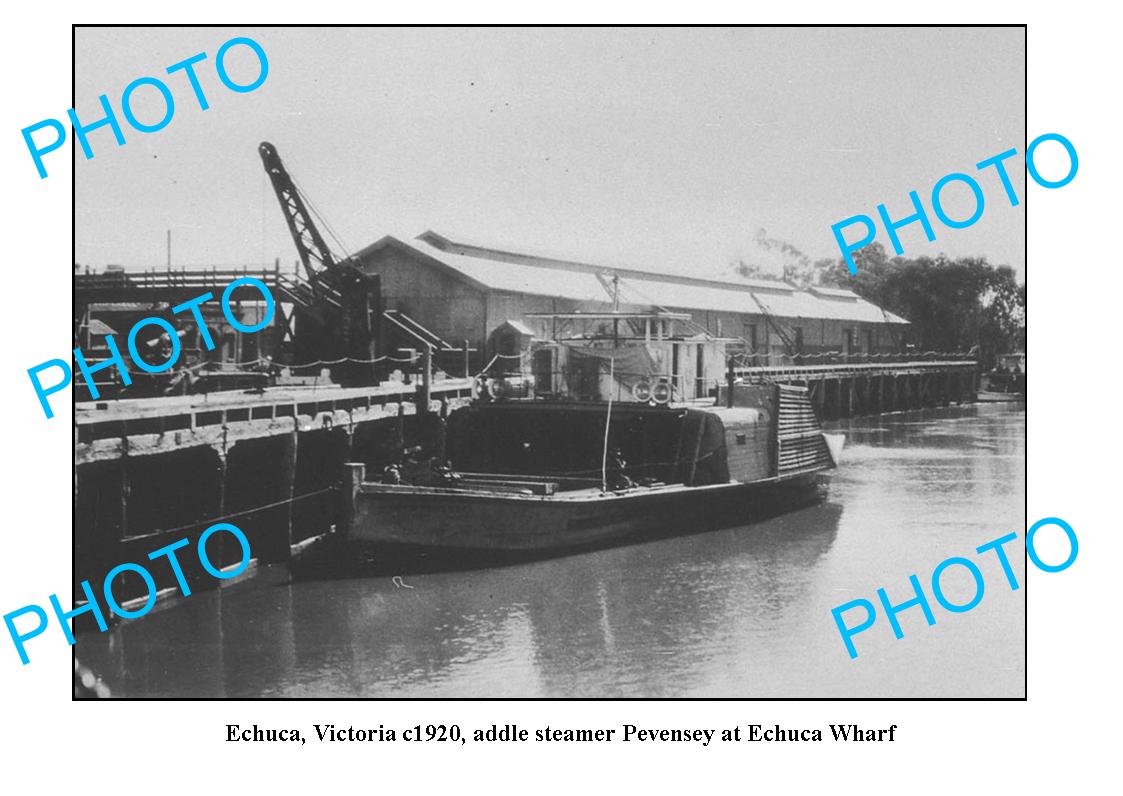 OLD LARGE PHOTO, ECHUCA VICTORIA, PEVENSEY PADDLE STEAMER AT WHARF c1920