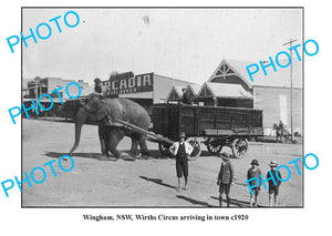 OLD LARGE PHOTO, WINGHAM NSW, WIRTHS CIRCUS ELEPHANT ARRIVING IN OWN c1920