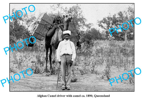 OLD LARGE PHOTO, AFGHAN CAMEL DRIVER WITH CAMEL c1880, QUEENSLAND