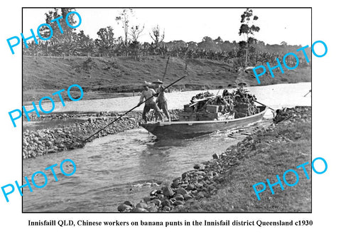 OLD LARGE PHOTO, INNISFAIL QUEENSLAND, CHINESE WORKERS ON BANANNA PUNT c1930