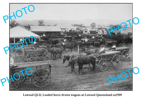 OLD LARGE PHOTO, LOWOOD QUEENSLAND, HORSE & WAGONS IN TOWNSHIP c1909