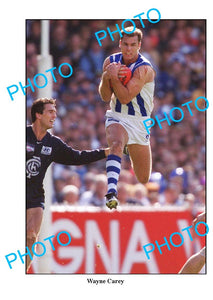 LARGE PHOTO FEATURING NORTH MELBOURNE FC GREAT WAYNE CAREY