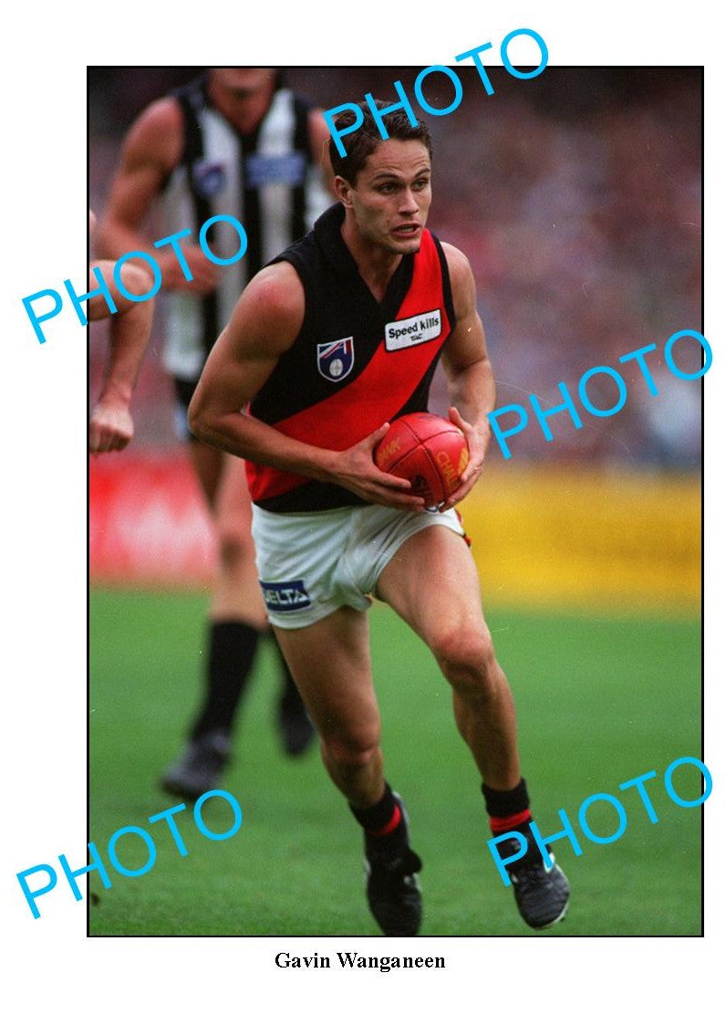 LARGE PHOTO FEATURING ESSENDON FC PREMIERSHIP PLAYER GAVIN WANGANEEN