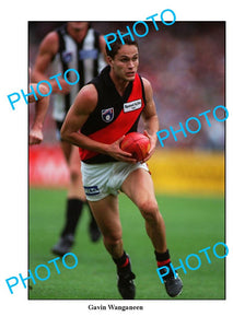 LARGE PHOTO FEATURING ESSENDON FC PREMIERSHIP PLAYER GAVIN WANGANEEN