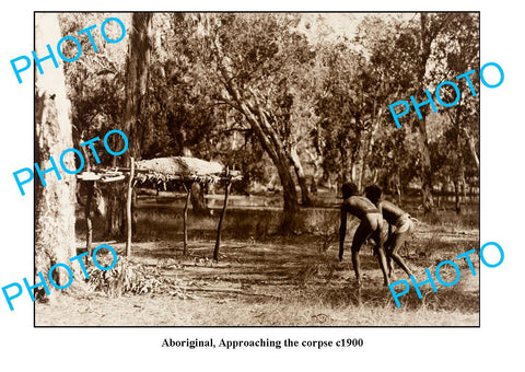 OLD LARGE PHOTO, AUSTRALIAN ABORIGINALS, APPROACHING THE CORPSE c1900