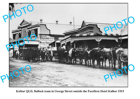 OLD LARGE PHOTO, KALBAR QUEENSLAND, BULLOCK TEAM IN GEORGE STREET c1915