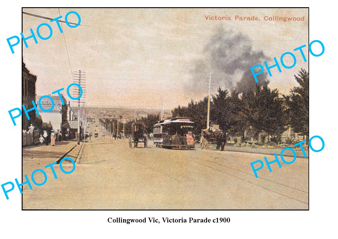 OLD LARGE PHOTO FEATURING COLLINGWOOD VICTORIA, VIEW OF VICTORIA PARADE c1900