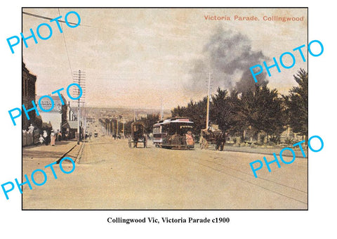 OLD LARGE PHOTO FEATURING COLLINGWOOD VICTORIA, VIEW OF VICTORIA PARADE c1900