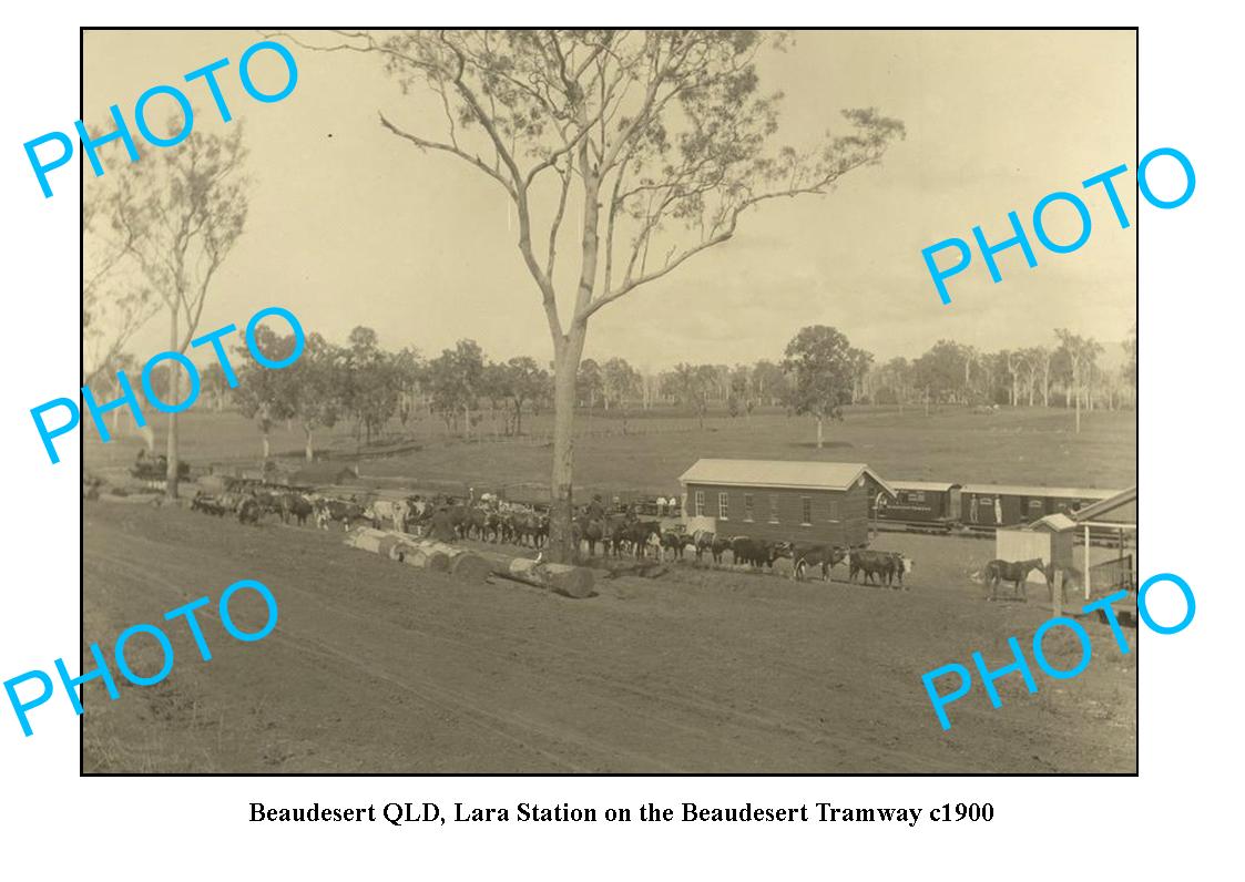 OLD LARGE PHOTO FEATURING BEAUDESERT QLD, LARA STATION ON THE TRAMWAY c1900
