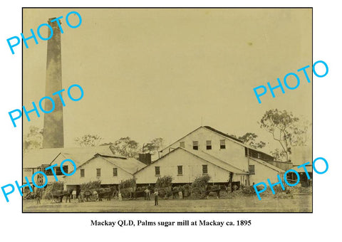 OLD LARGE PHOTO FEATURING MACKAY QUEENSLAND, PALMS SUGAR MILL FACTORY c1895