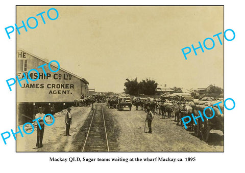 OLD LARGE PHOTO FEATURING MACKAY QUEENSLAND, LOADING SUGAR AT THE WHARF c1895