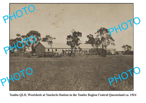 OLD LARGE PHOTO FEATURING TAMBO QUEENSLAND, YANDARLO STATION WOOL SHEDS c1924