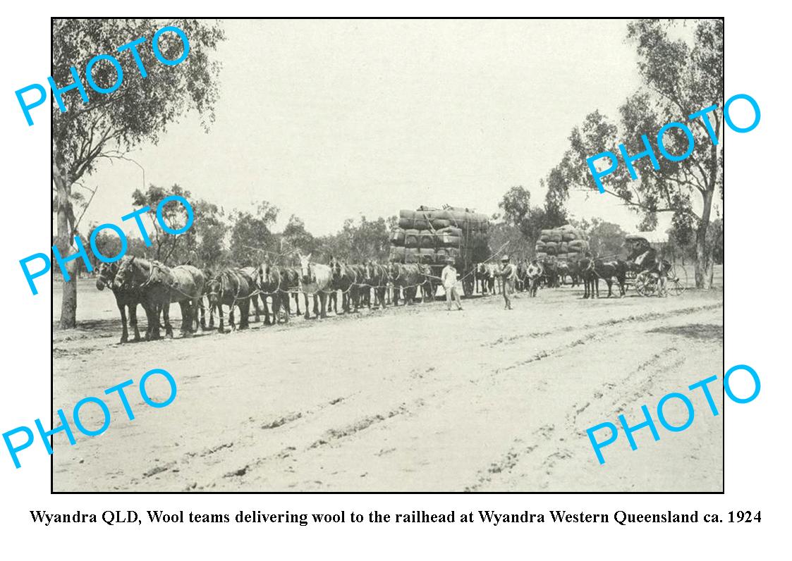 OLD LARGE PHOTO FEATURING WYANDRA QLD, DELIVERING WOOL TO THE RAILWAY c1924